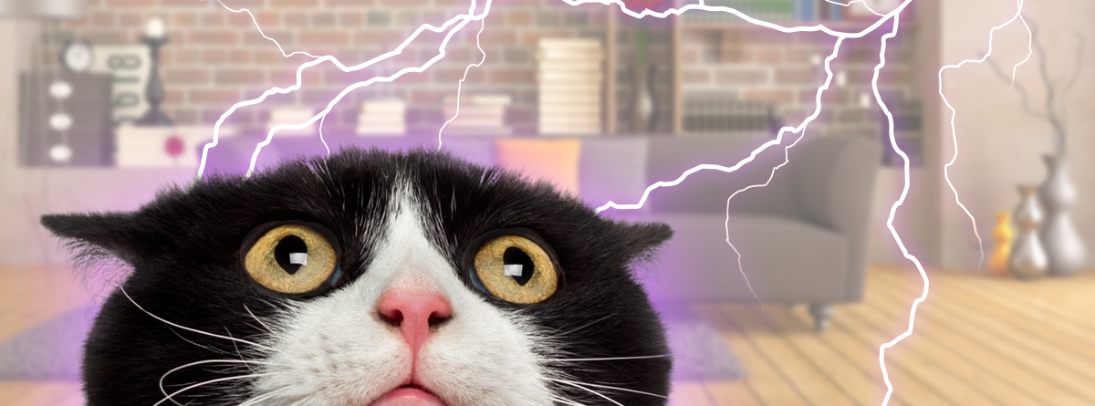Humidifier Maintenance