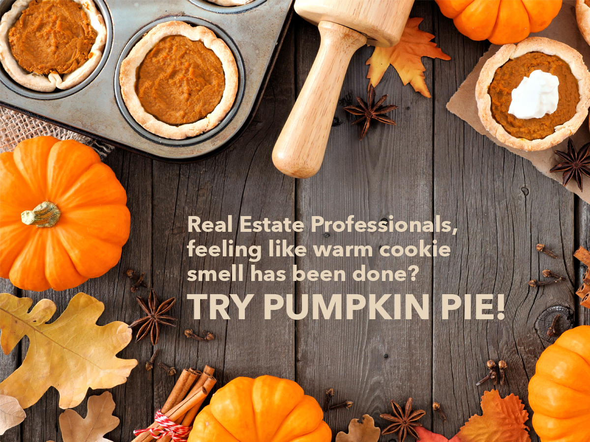 Recommendation to Real Estate professionals to try using fresh baked pumpkin pie at open houses